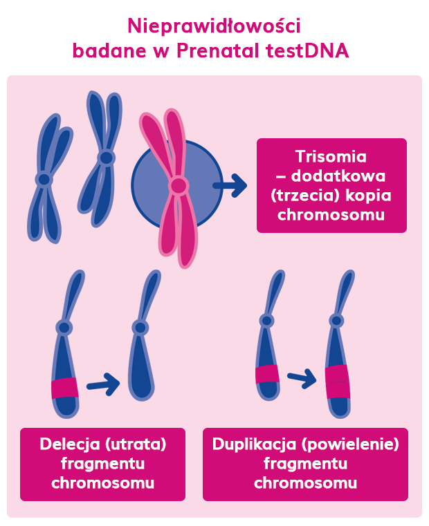 nieprawidłowości badane w FeliaTest (dawniej Prenatal testDNA) Karyo plus