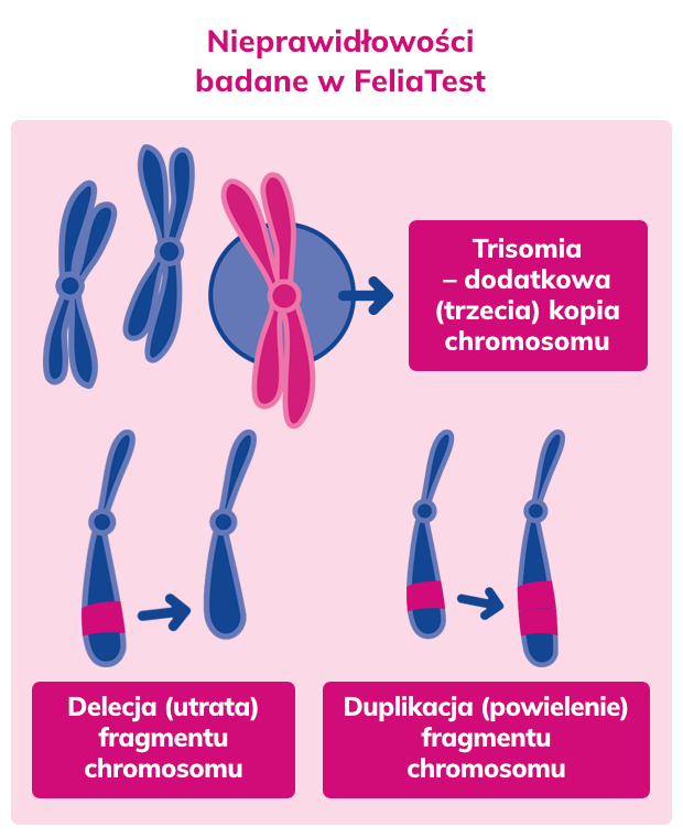 nieprawidłowości badane w FeliaTest (dawniej Prenatal testDNA) Karyo plus